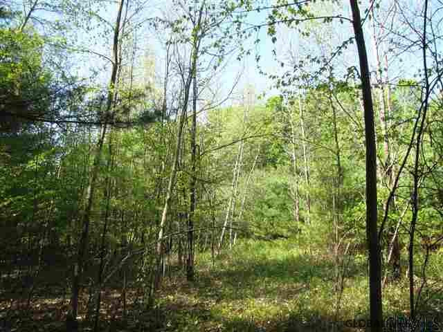 4 Dunham Pond Road Greenfield, NY 12833 - Photo 9 of 13 Photo 9