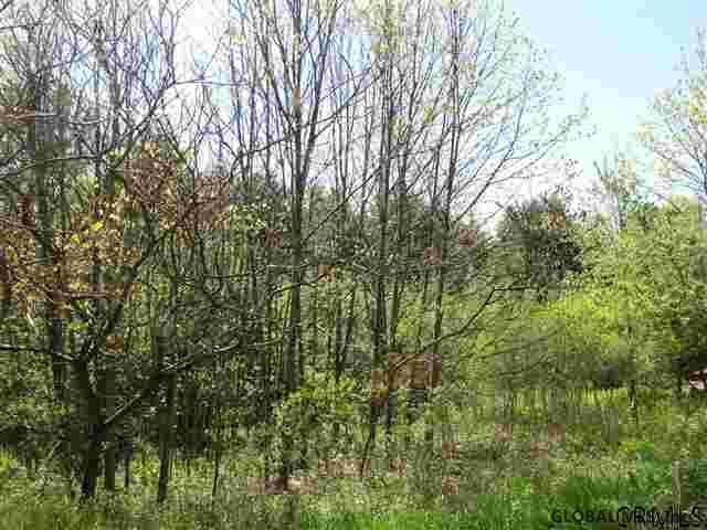 4 Dunham Pond Road Greenfield, NY 12833 - Photo 10 of 13 Photo 10