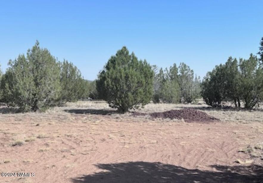 2138 Rincon Drive, Unit 126 Williams, AZ 86046 - Photo 3 of 9 2138 Rincon 8