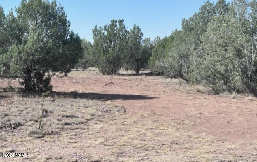 2138 Rincon Drive, Unit 126 Williams, AZ 86046 - Photo 7 of 9 2138 Rincon 6