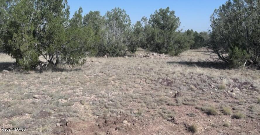 2138 Rincon Drive, Unit 126 Williams, AZ 86046 - Photo 8 of 9 2138 Rincon 3