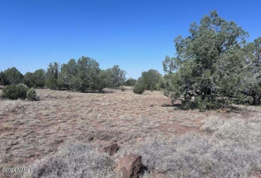 2138 Rincon Drive, Unit 126 Williams, AZ 86046 - Photo 9 of 9 2138 Rincon