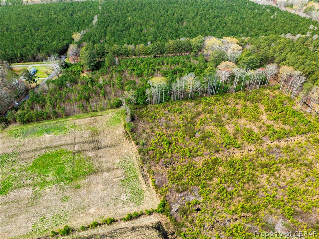 3220 Bethel Beach Road Onemo, VA 23130 - Photo 13 of 18 Gallery Image 13