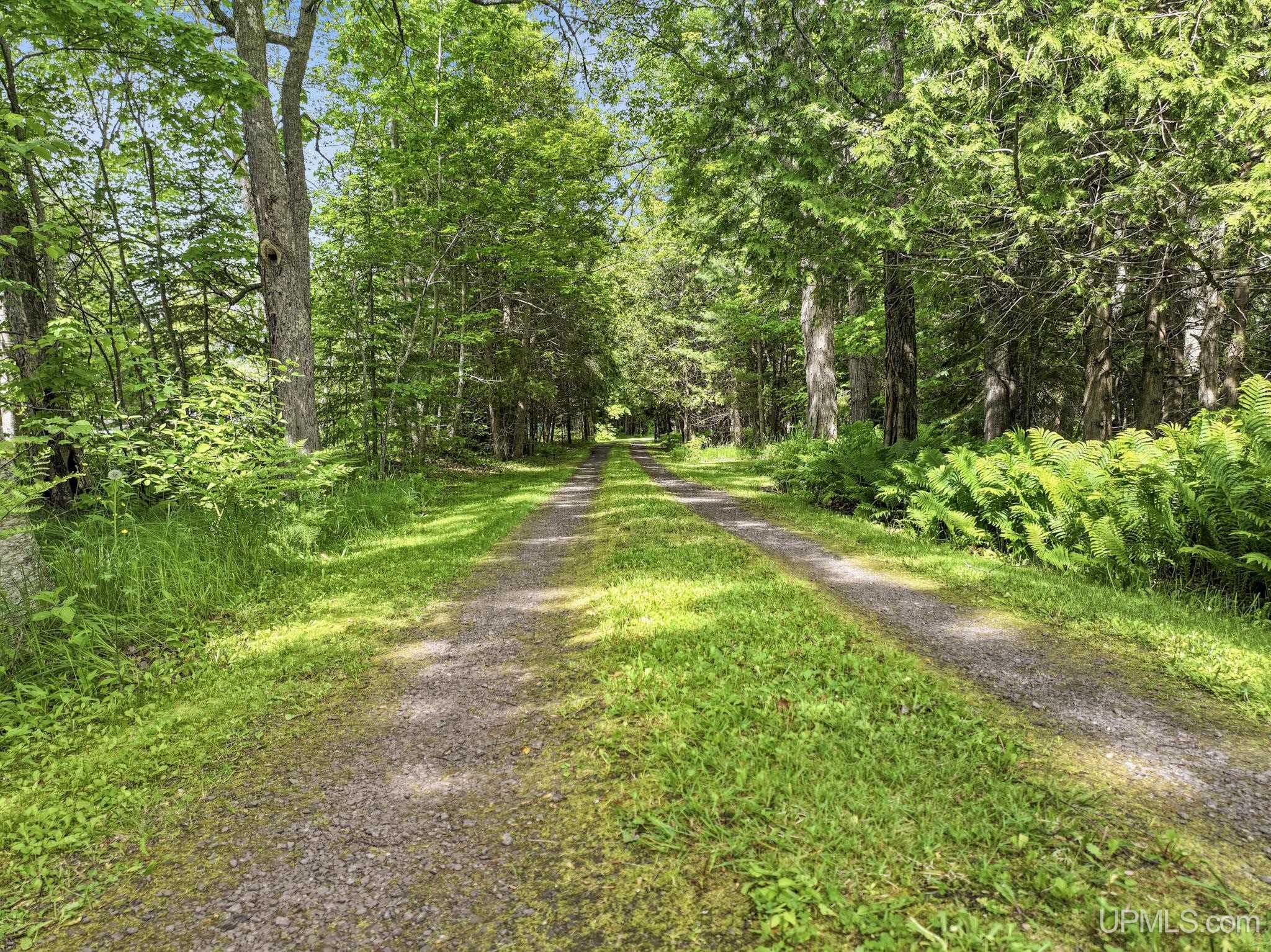 48467 Bootjack Road Lake Linden, MI 49945 - Photo 4 of 38 Gallery Image 4