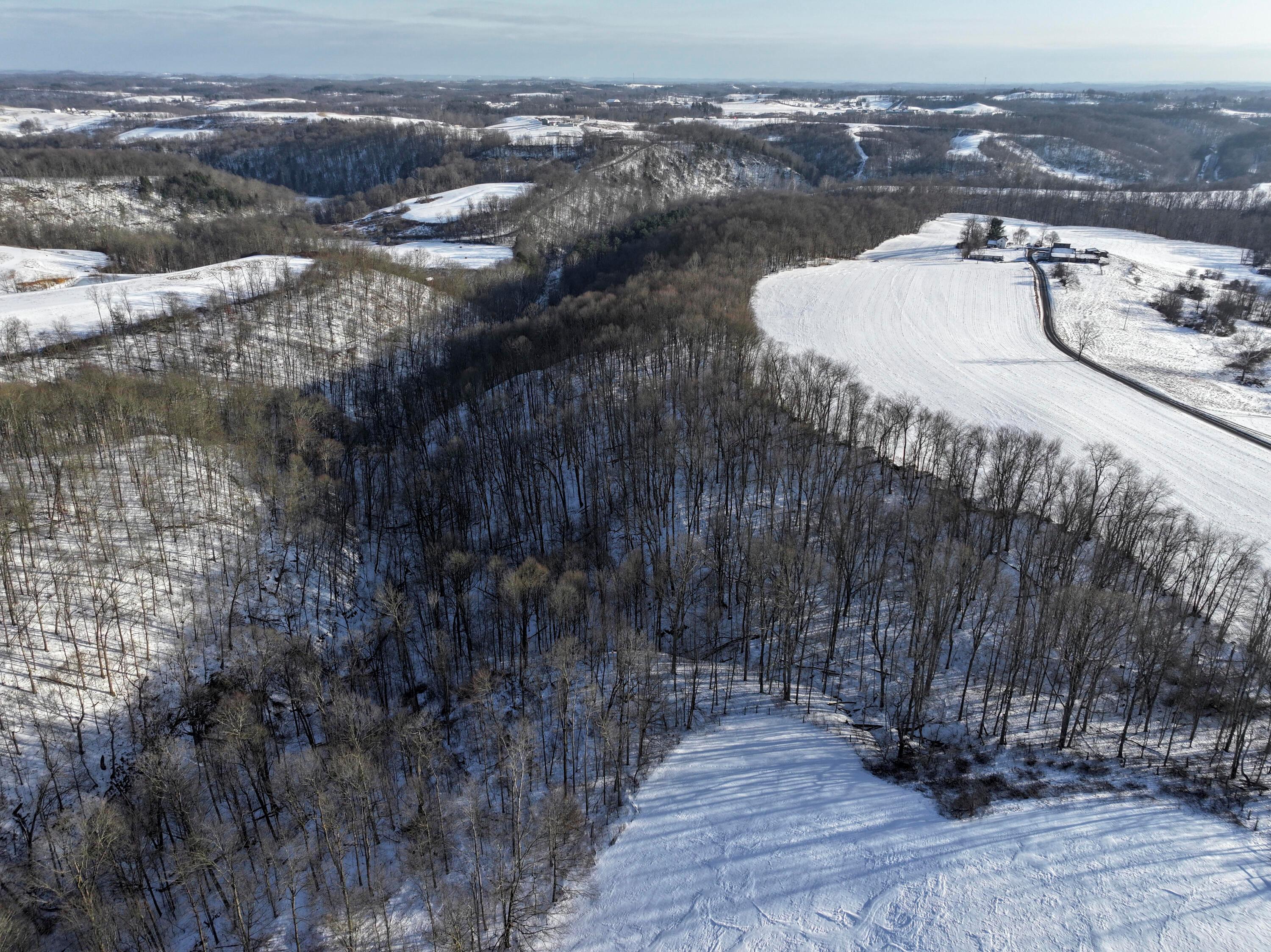 0 Morris Ridge Road, Unit TRACT #2 Jerusalem, OH 43747 - Photo 7 of 11 Tract 2_TD-3