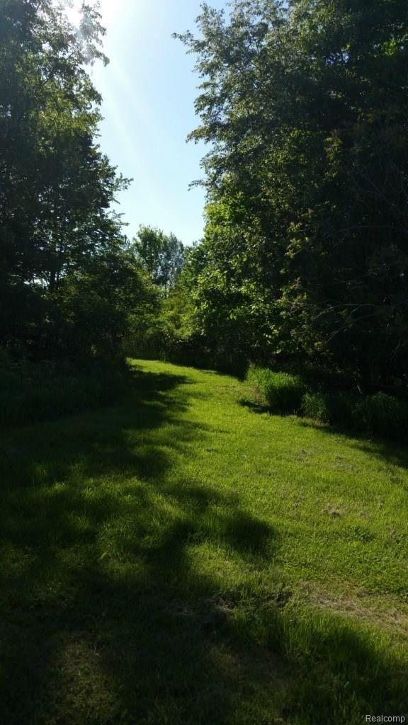 6138 Tubspring Road Almont, MI 48003 - Photo 11 of 42 20150522_174850 (1).jpg