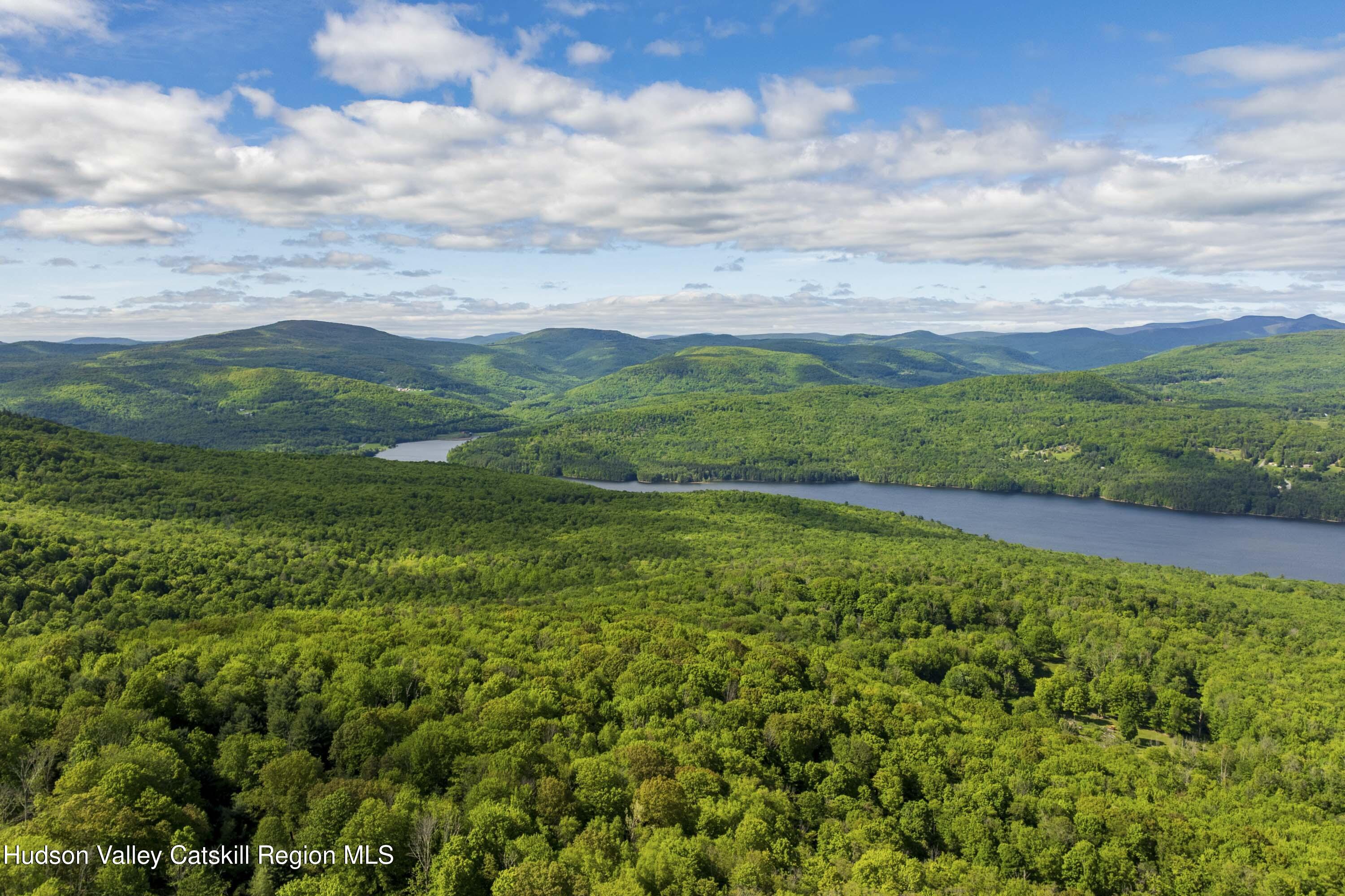 4 Red Rock Road New City, NY 10956 - Photo 7 of 14 a view of a lush green outdoor space with a lake view