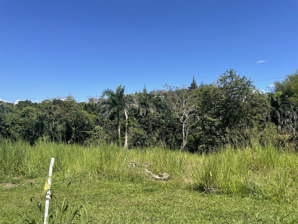 Jacinto Caguas, PR 00725 - Photo 6 of 16