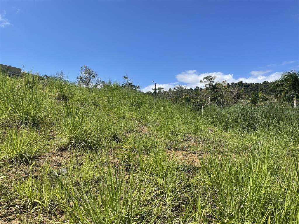 Jacinto Caguas, PR 00725 - Photo 7 of 16