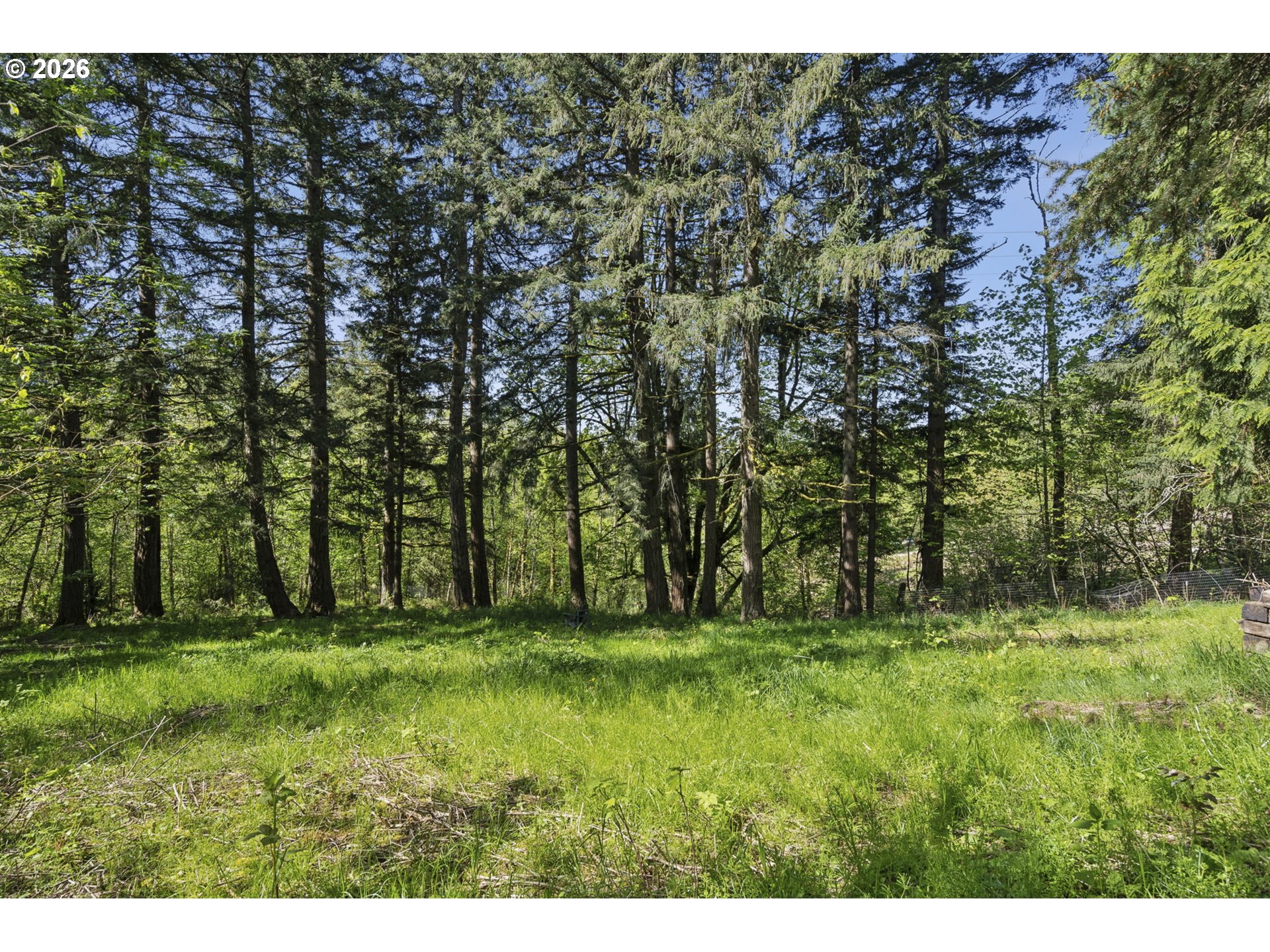 38041 Southeast Rickert Road Corbett, OR 97019 - Photo 37 of 46