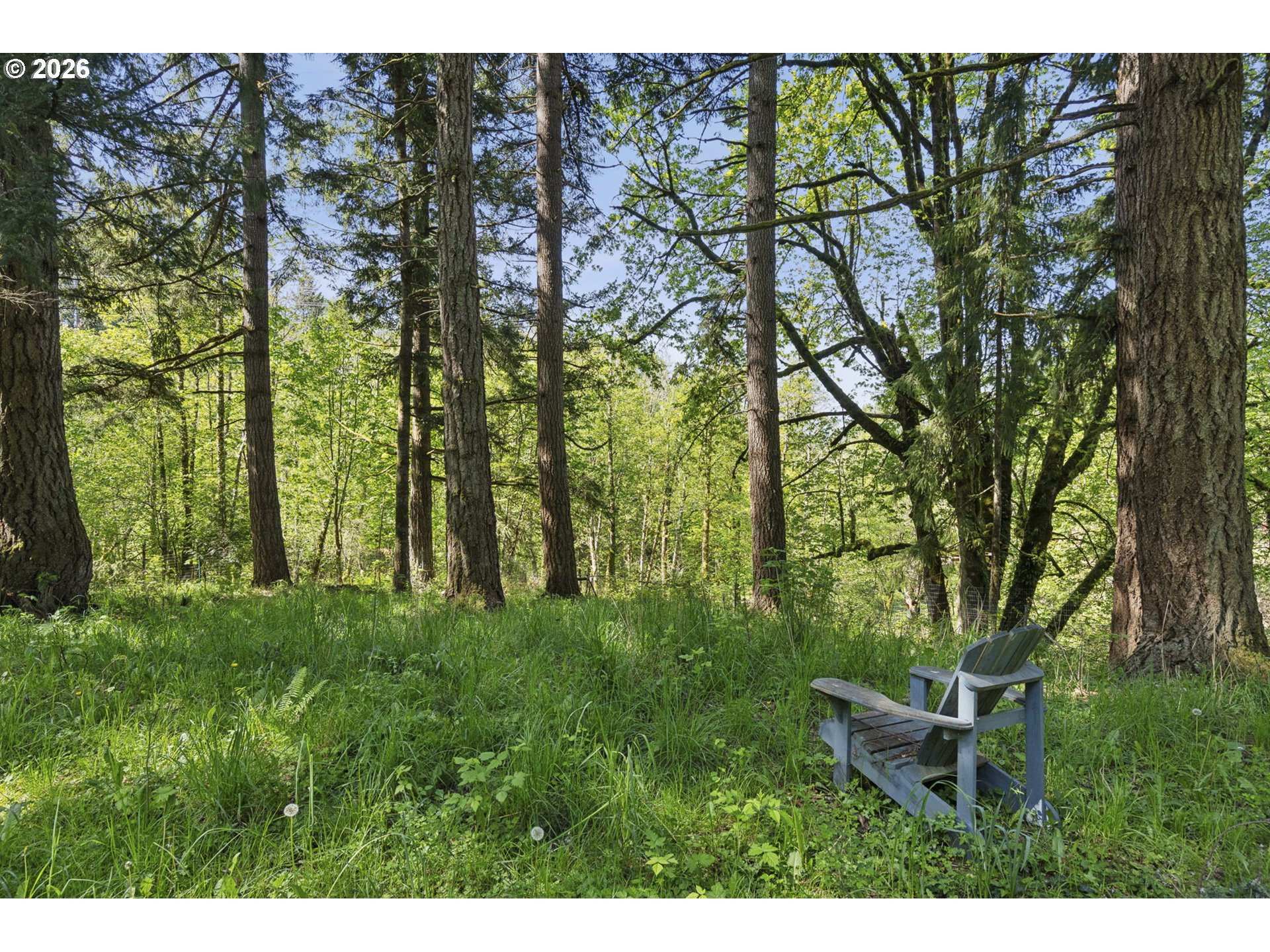 38041 Southeast Rickert Road Corbett, OR 97019 - Photo 38 of 46