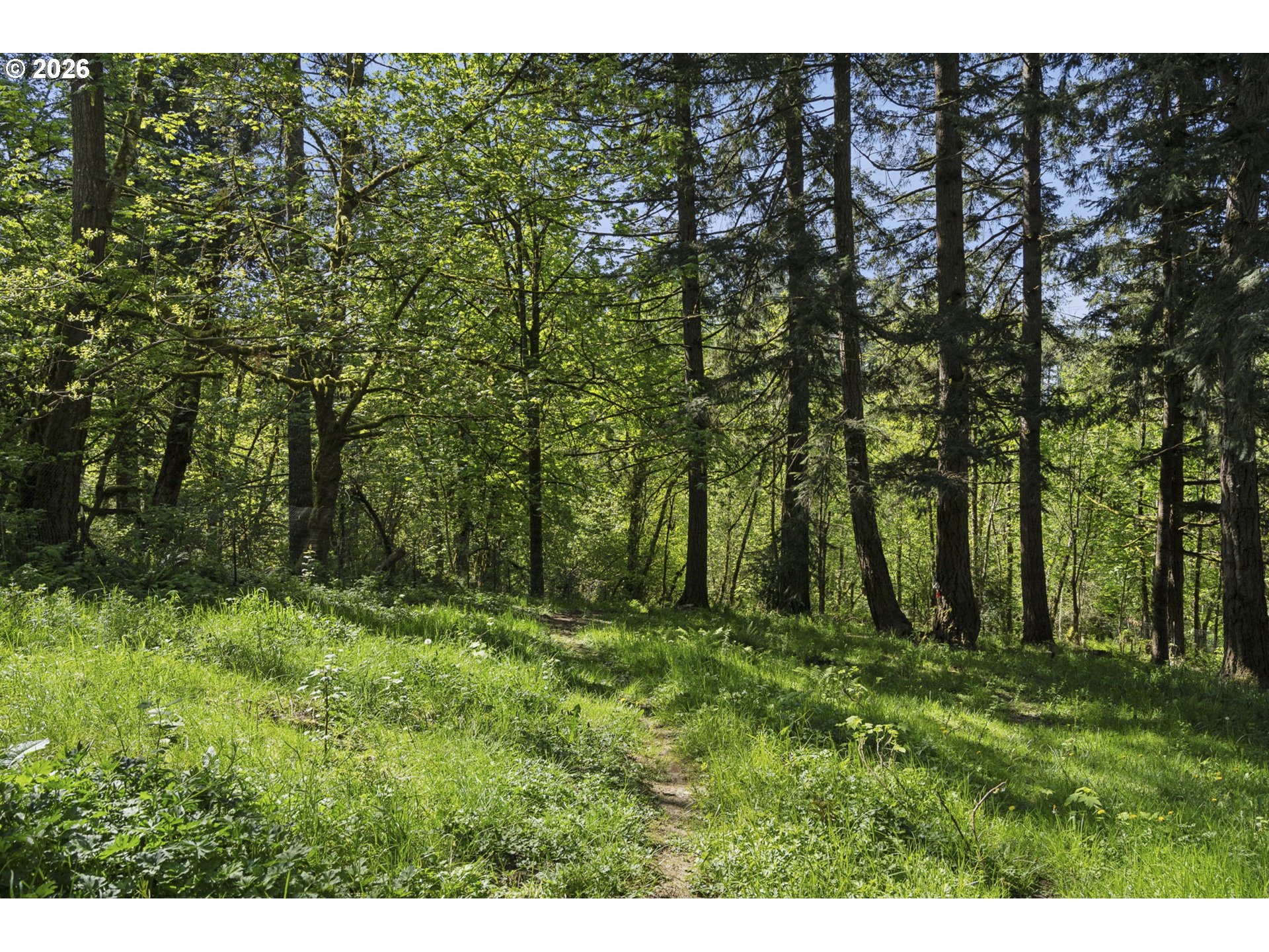38041 Southeast Rickert Road Corbett, OR 97019 - Photo 40 of 46