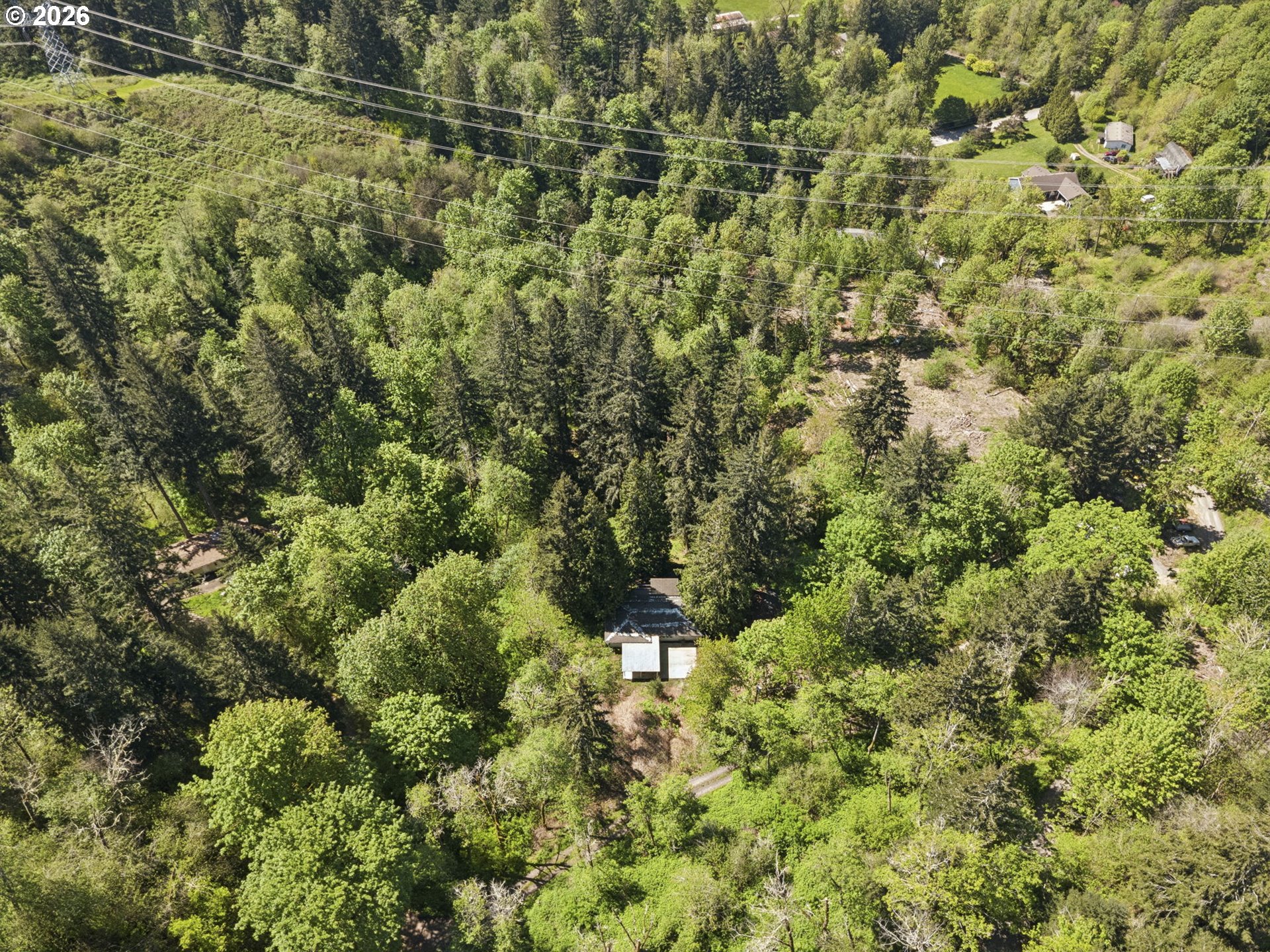 38041 Southeast Rickert Road Corbett, OR 97019 - Photo 43 of 46