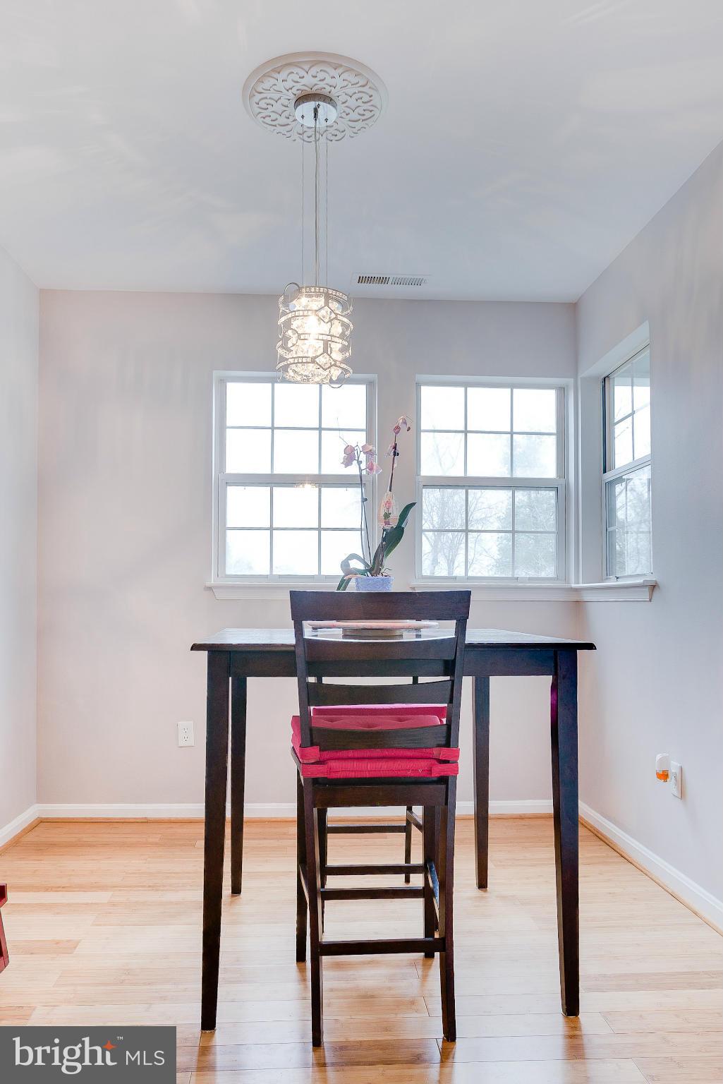 8611 Falls Run Road, Unit I Ellicott City, MD 21043 - Photo 8 of 23 New medallion and chandelier