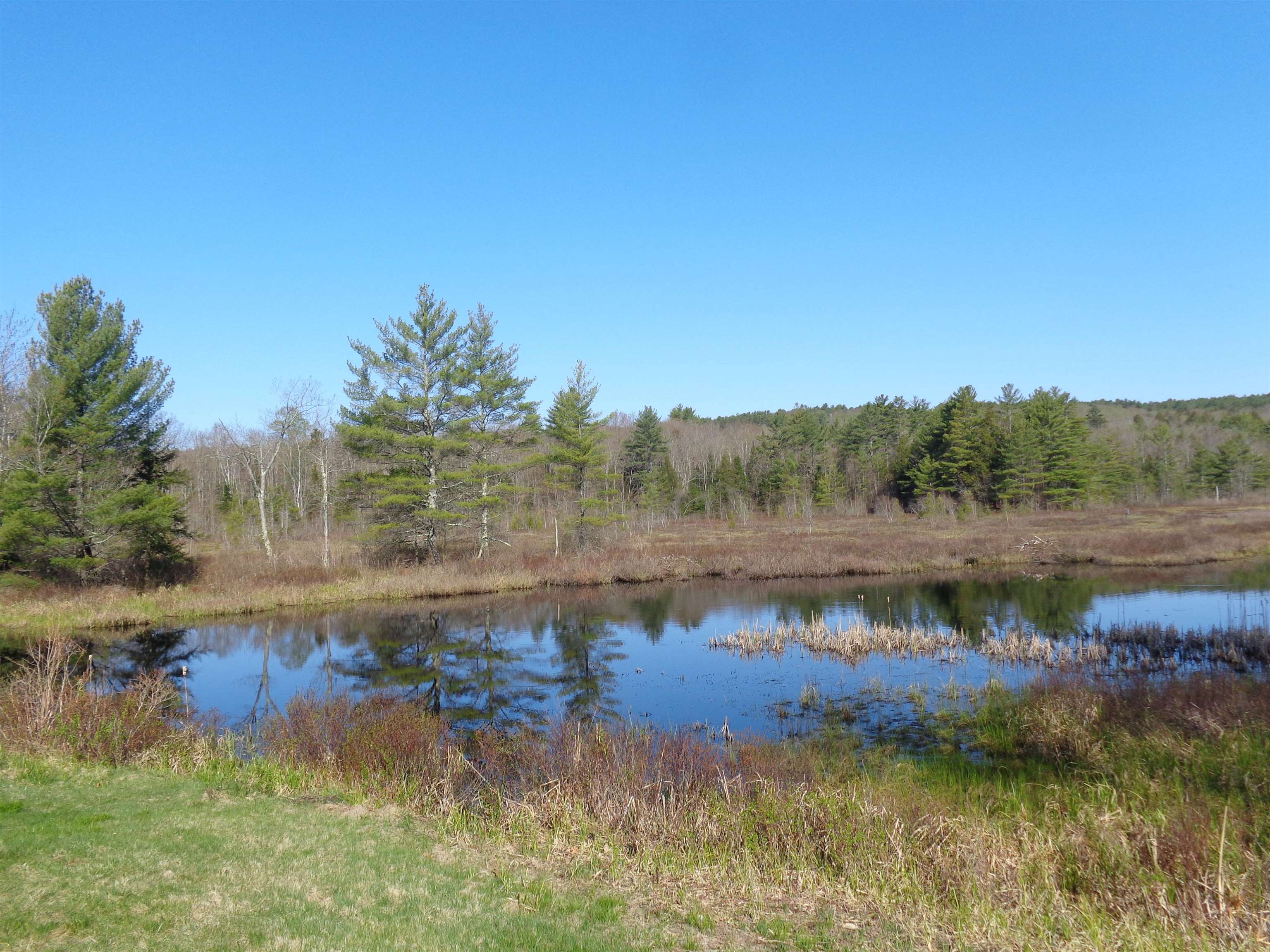 30 Phelps Lane, Unit 1 Danbury, NH 03230 - Photo 2 of 12