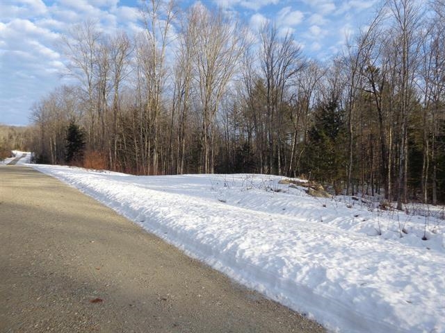 30 Phelps Lane, Unit 1 Danbury, NH 03230 - Photo 4 of 12