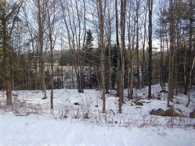 30 Phelps Lane, Unit 1 Danbury, NH 03230 - Photo 5 of 12