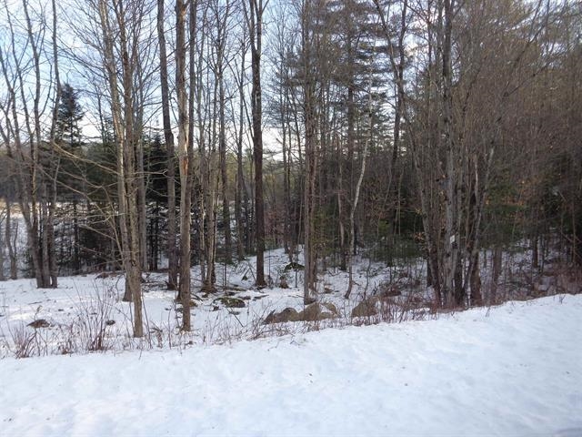 30 Phelps Lane, Unit 1 Danbury, NH 03230 - Photo 7 of 12