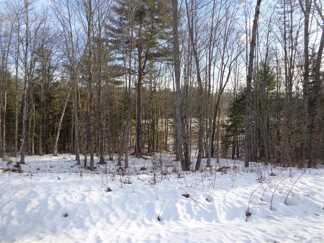 30 Phelps Lane, Unit 1 Danbury, NH 03230 - Photo 8 of 12