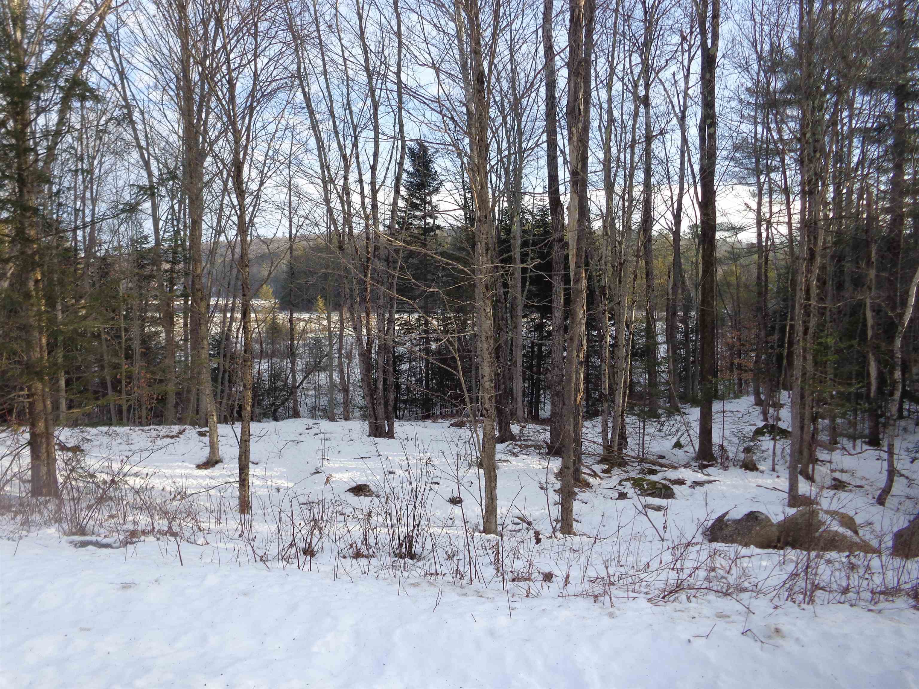 30 Phelps Lane, Unit 1 Danbury, NH 03230 - Photo 9 of 12