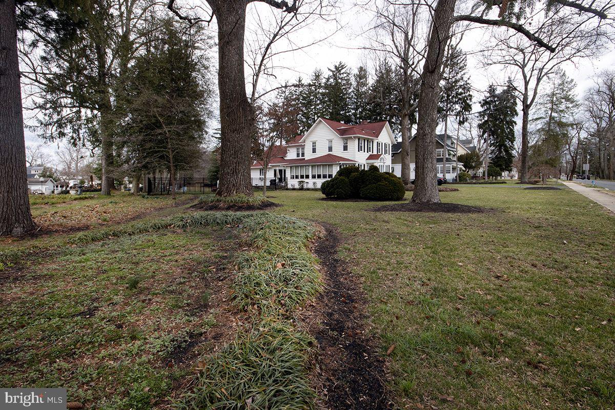 339 Central Avenue Hammonton, NJ 08037 - Photo 45 of 56 Exterior gardening