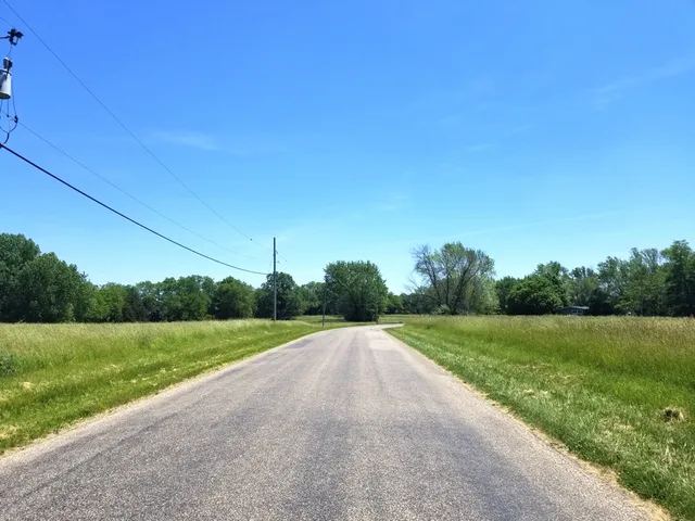 a view of a grassy area with an trees