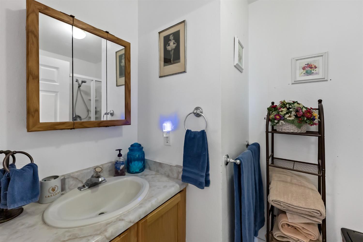 32872 Meadow Ridge Road Coarsegold, CA 93614 - Photo 13 of 28 Gallery Image 13