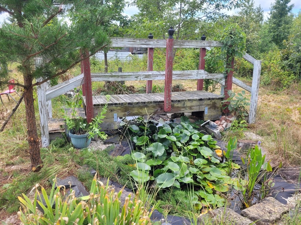 3638 Manteo Road Buckingham, VA 23921 - Photo 4 of 26 Gallery Image 4