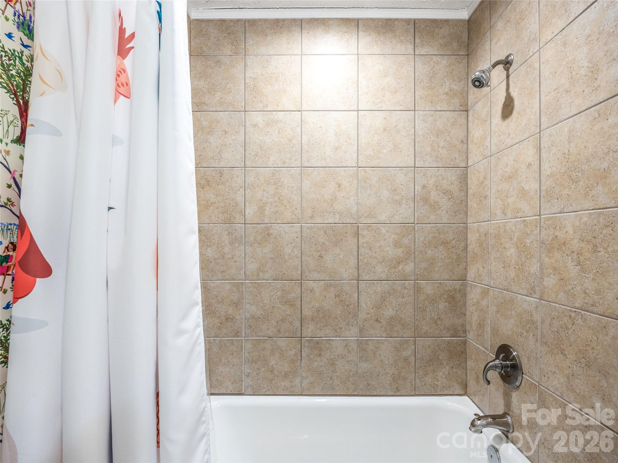 2388 Hebron Road Hendersonville, NC 28739 - Photo 21 of 42 a bathroom with a bathtub