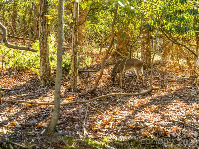 $625,000 | 2388 Hebron Road, Hendersonville, NC 28739