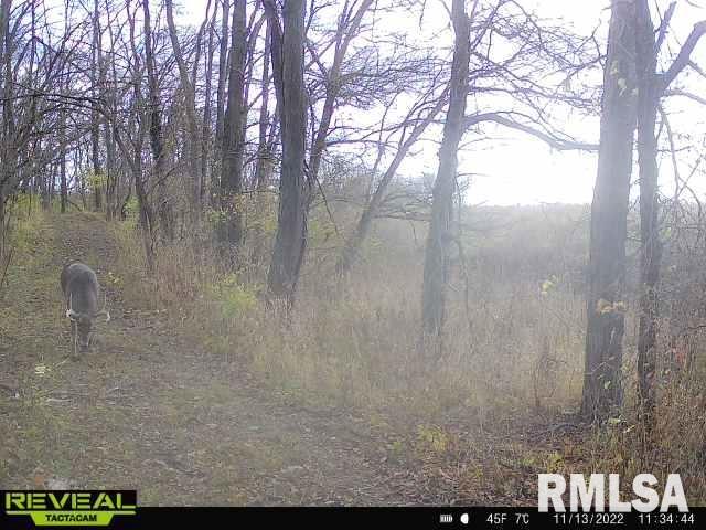1823-800 E Road Wyoming, IL 61491 - Photo 53 of 57 Gallery Image 53
