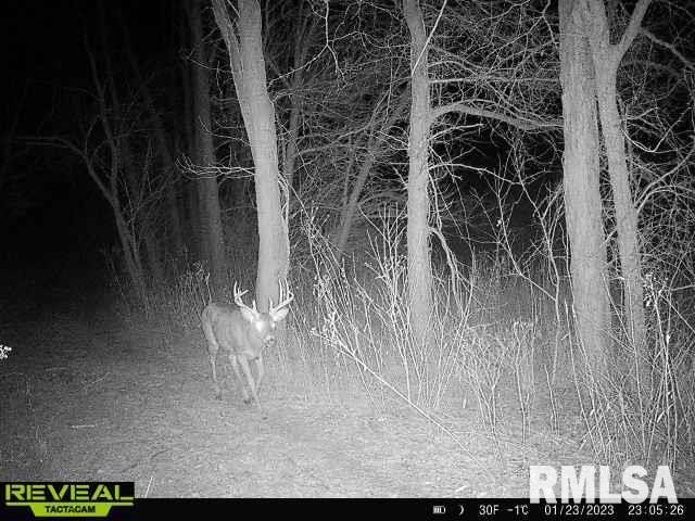 1823-800 E Road Wyoming, IL 61491 - Photo 54 of 57 Gallery Image 54