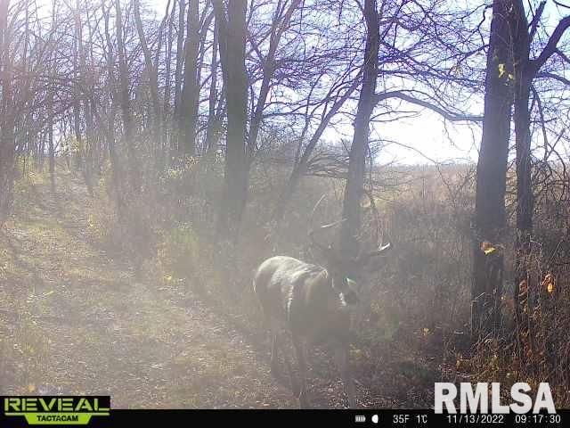 1823-800 E Road Wyoming, IL 61491 - Photo 56 of 57 Gallery Image 56