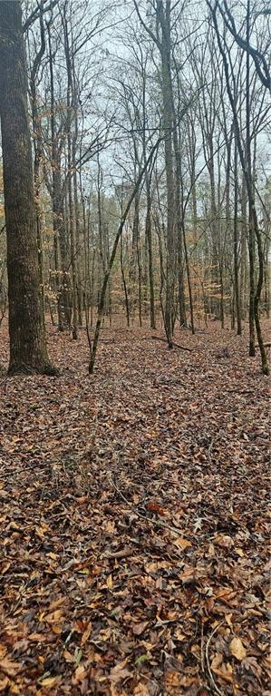 37 Quarles Road Pittsview, AL 36871 - Photo 12 of 23 View of undeveloped land