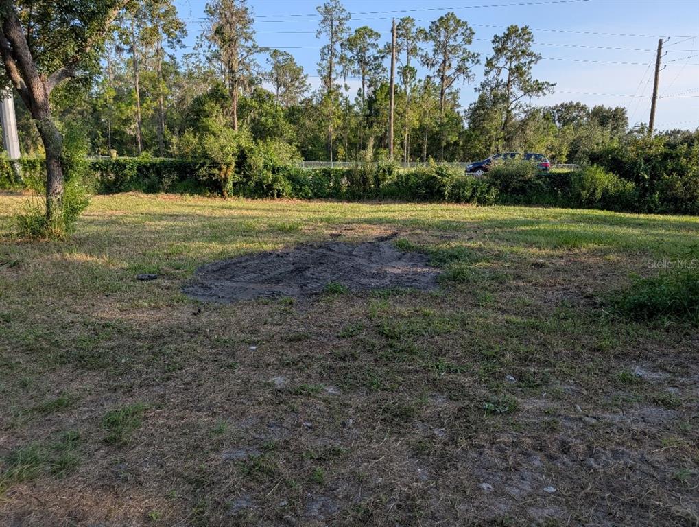 16188 Boyette Road Riverview, FL 33569 - Photo 11 of 13 a view of a ground with trees in the background