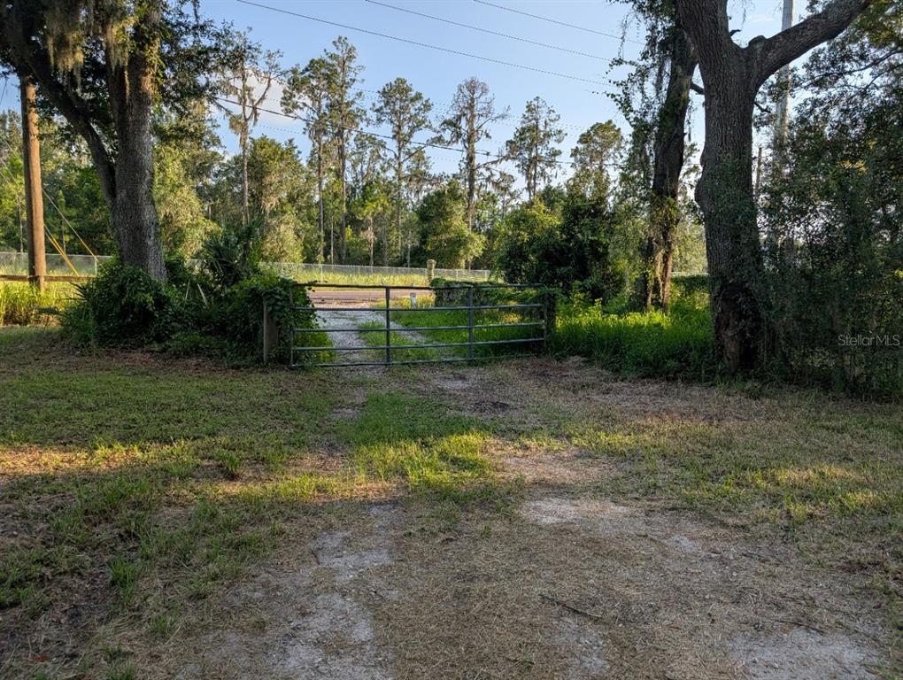 16188 Boyette Road Riverview, FL 33569 - Photo 7 of 13 a view of a park