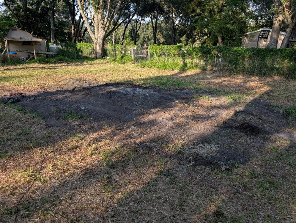 16188 Boyette Road Riverview, FL 33569 - Photo 10 of 13 a view of a yard with a house