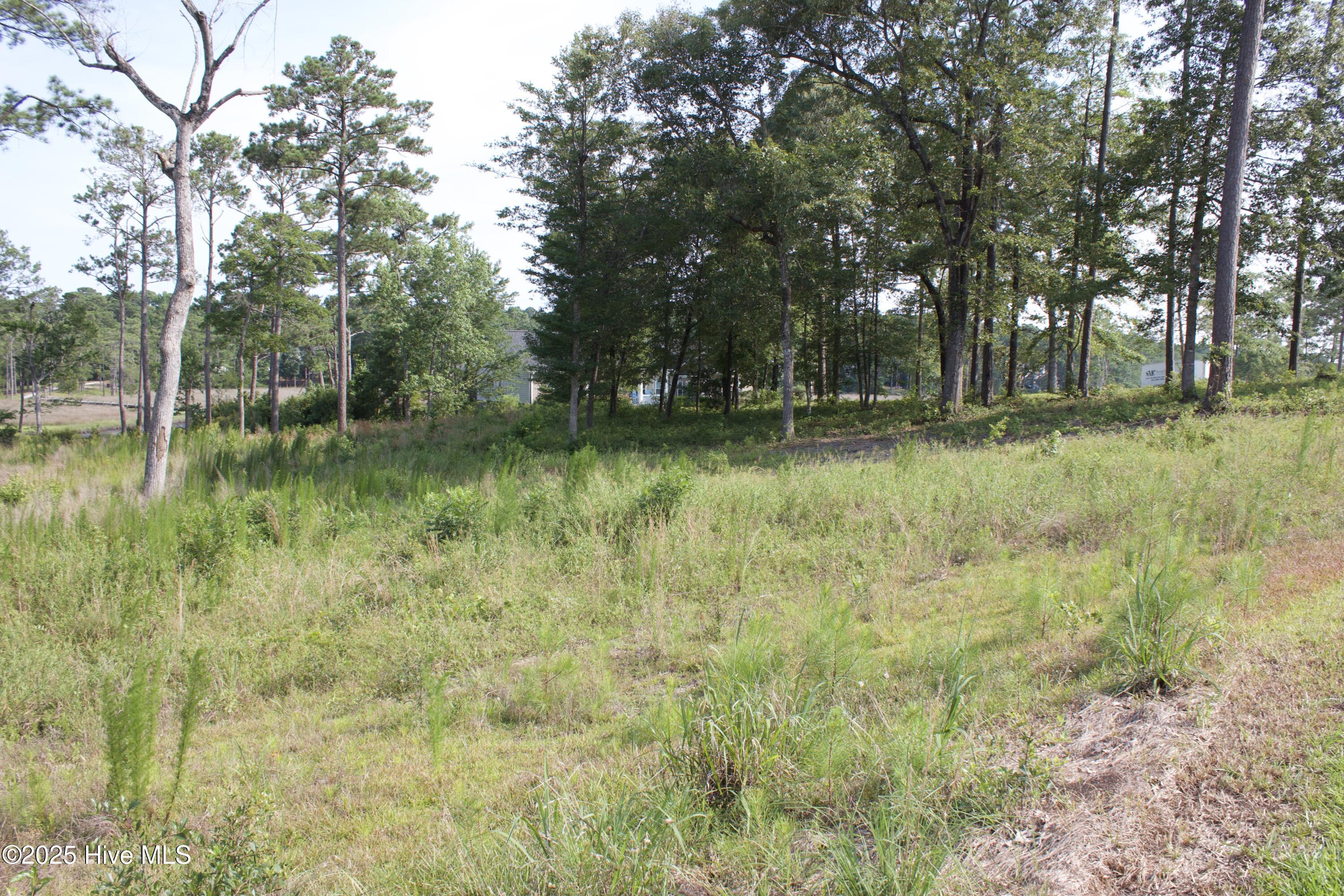 407 Salt Creek Road Swansboro, NC 28584 - Photo 11 of 26 IMG_8657