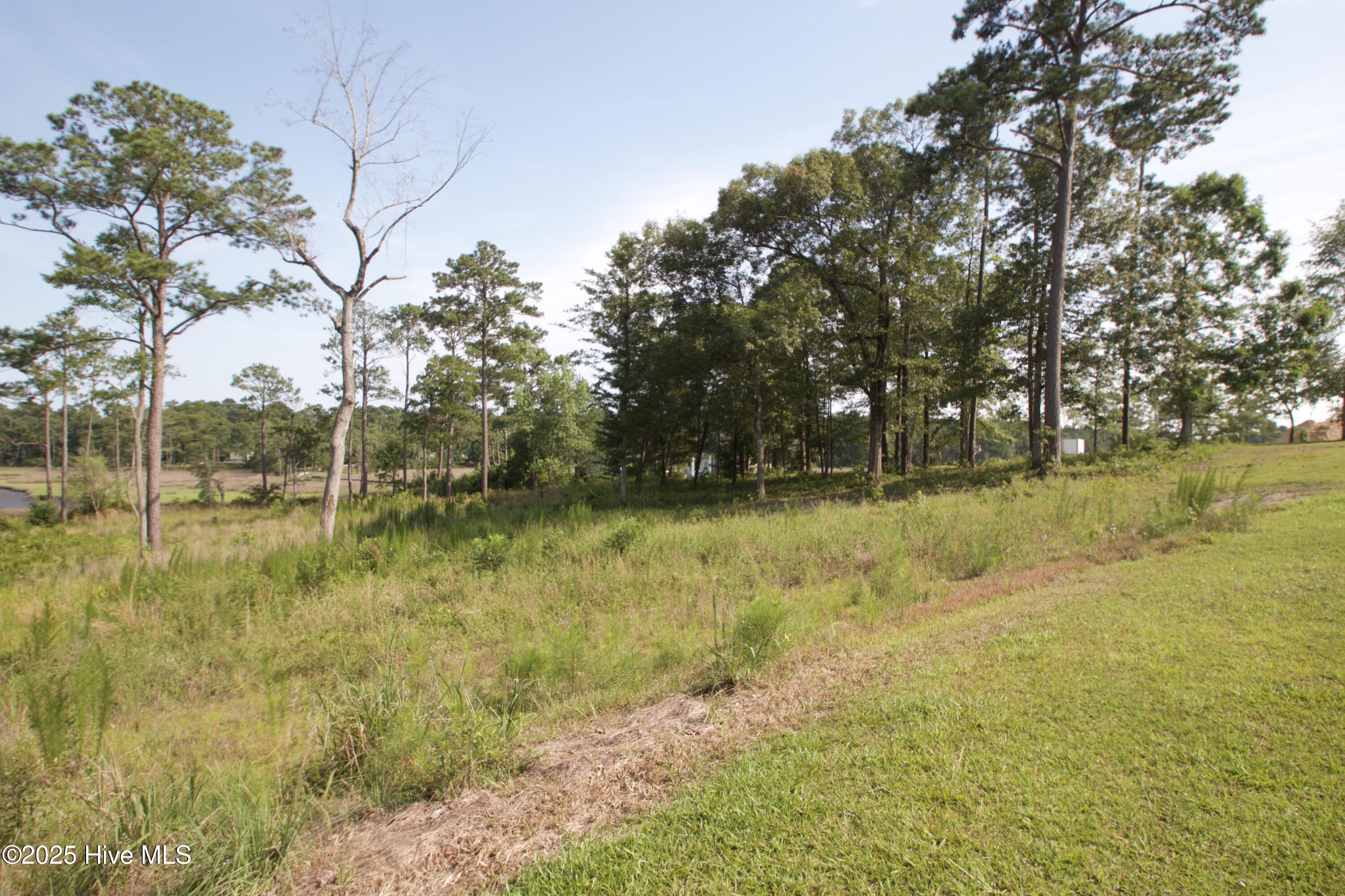 407 Salt Creek Road Swansboro, NC 28584 - Photo 12 of 26 IMG_8666