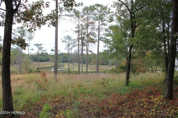 $160,000 | 407 Salt Creek Road, Swansboro, NC 28584