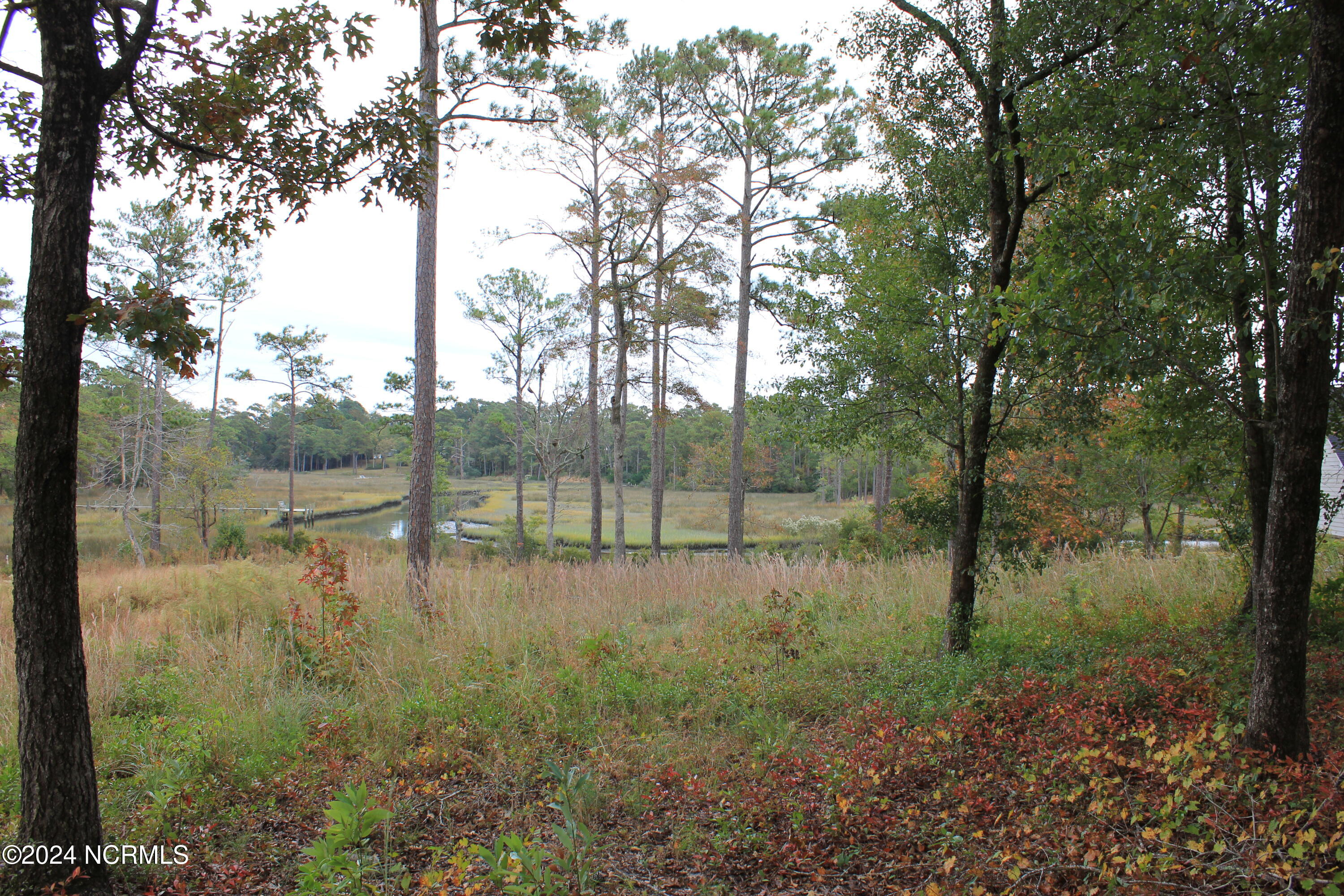 407 Salt Creek Road Swansboro, NC 28584 - Photo 13 of 26 IMG_7600