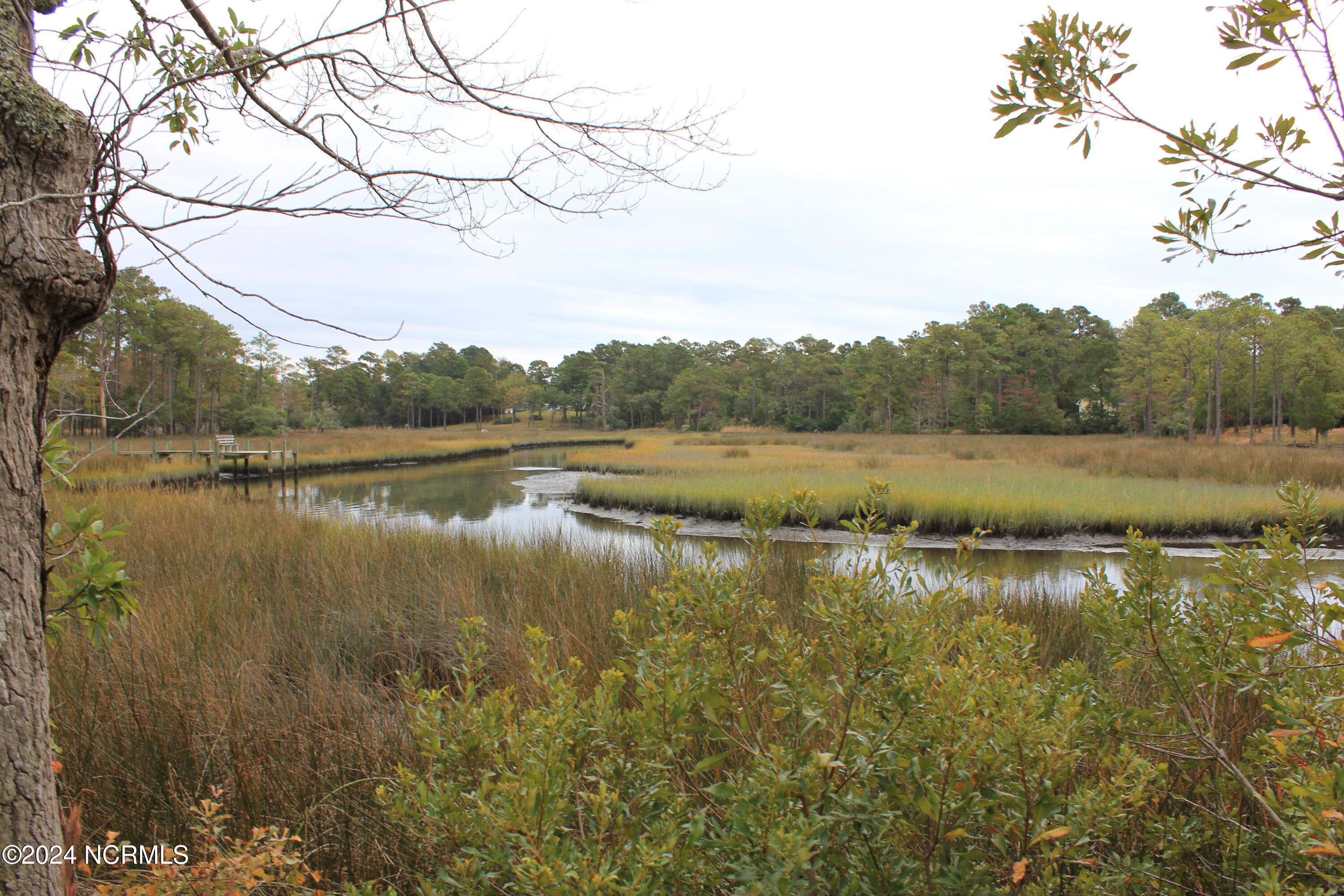 407 Salt Creek Road Swansboro, NC 28584 - Photo 18 of 26 IMG_7583