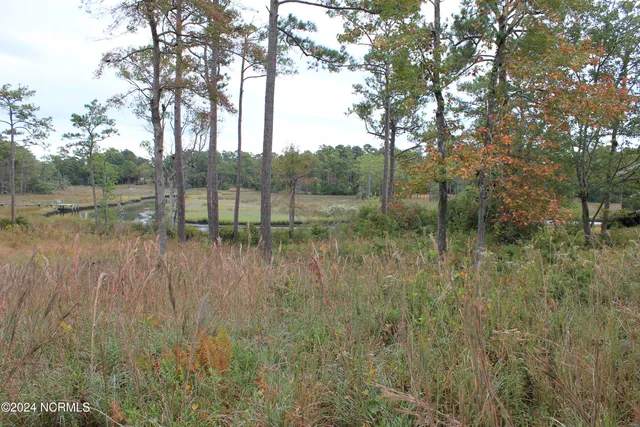 $170,000 | 407 Salt Creek Road, Swansboro, NC 28584