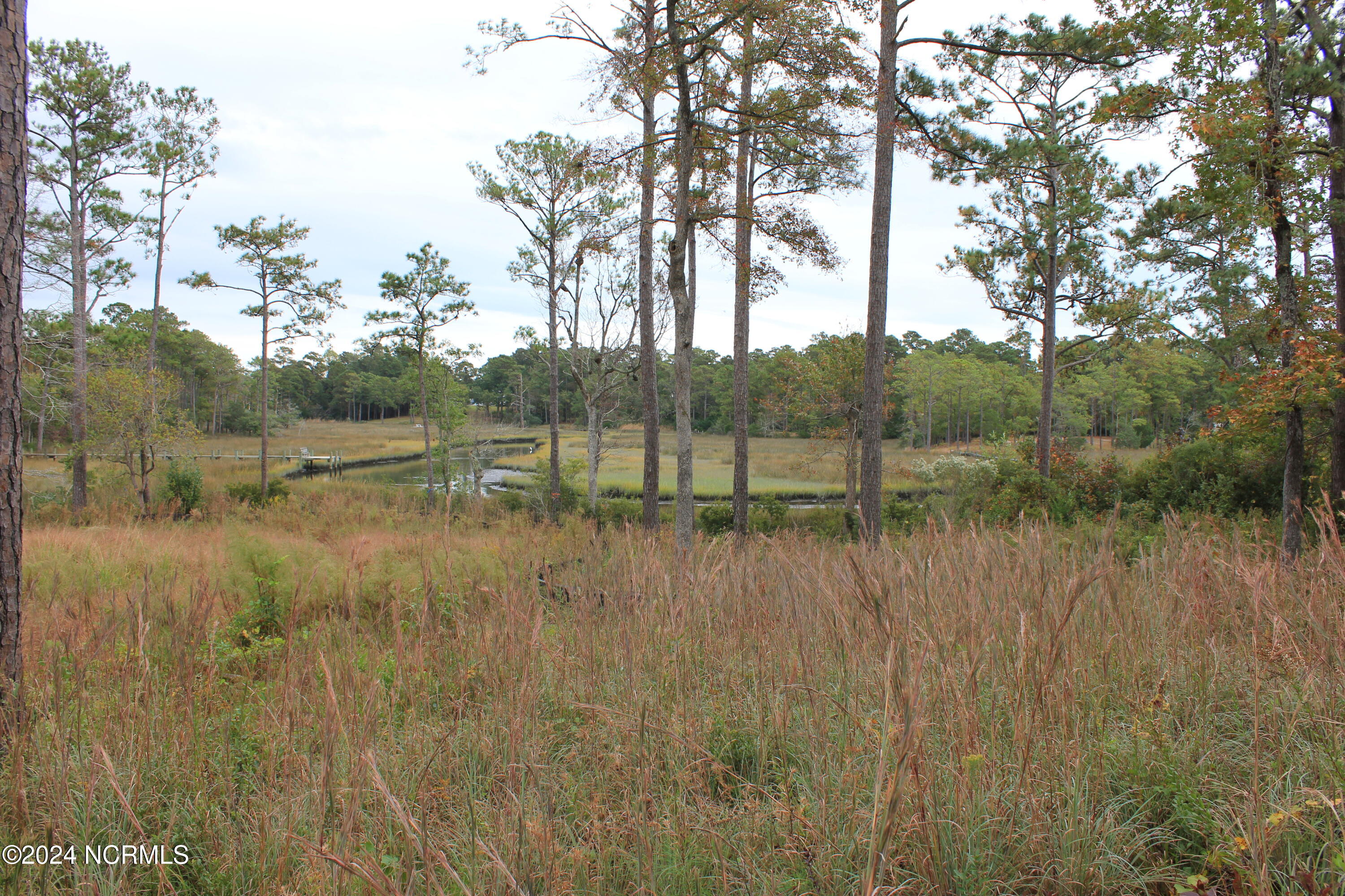 407 Salt Creek Road Swansboro, NC 28584 - Photo 20 of 26 IMG_7565