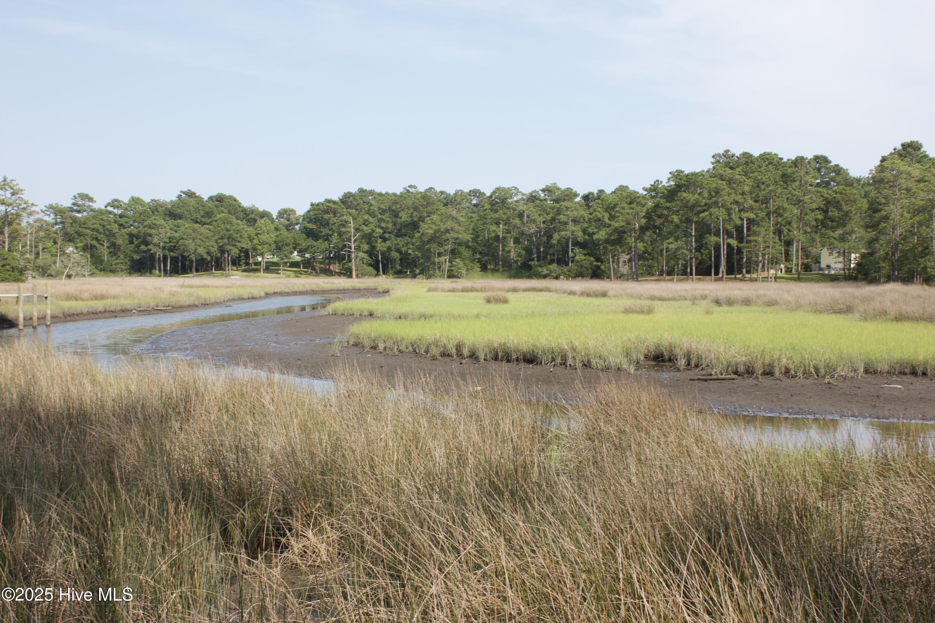407 Salt Creek Road Swansboro, NC 28584 - Photo 2 of 26 IMG_8648