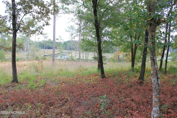 $160,000 | 407 Salt Creek Road, Swansboro, NC 28584