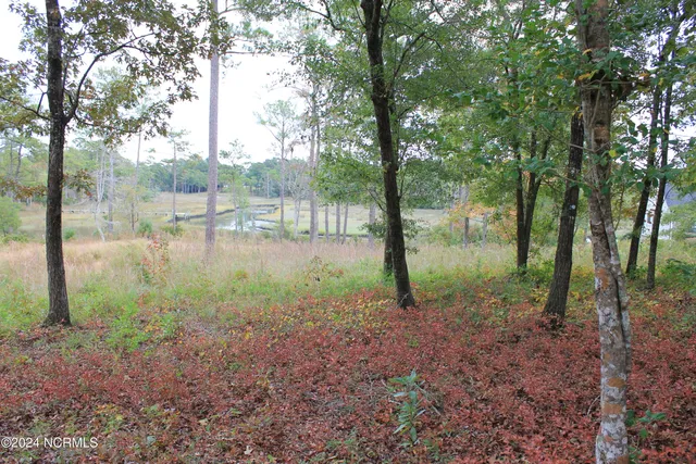 $170,000 | 407 Salt Creek Road, Swansboro, NC 28584