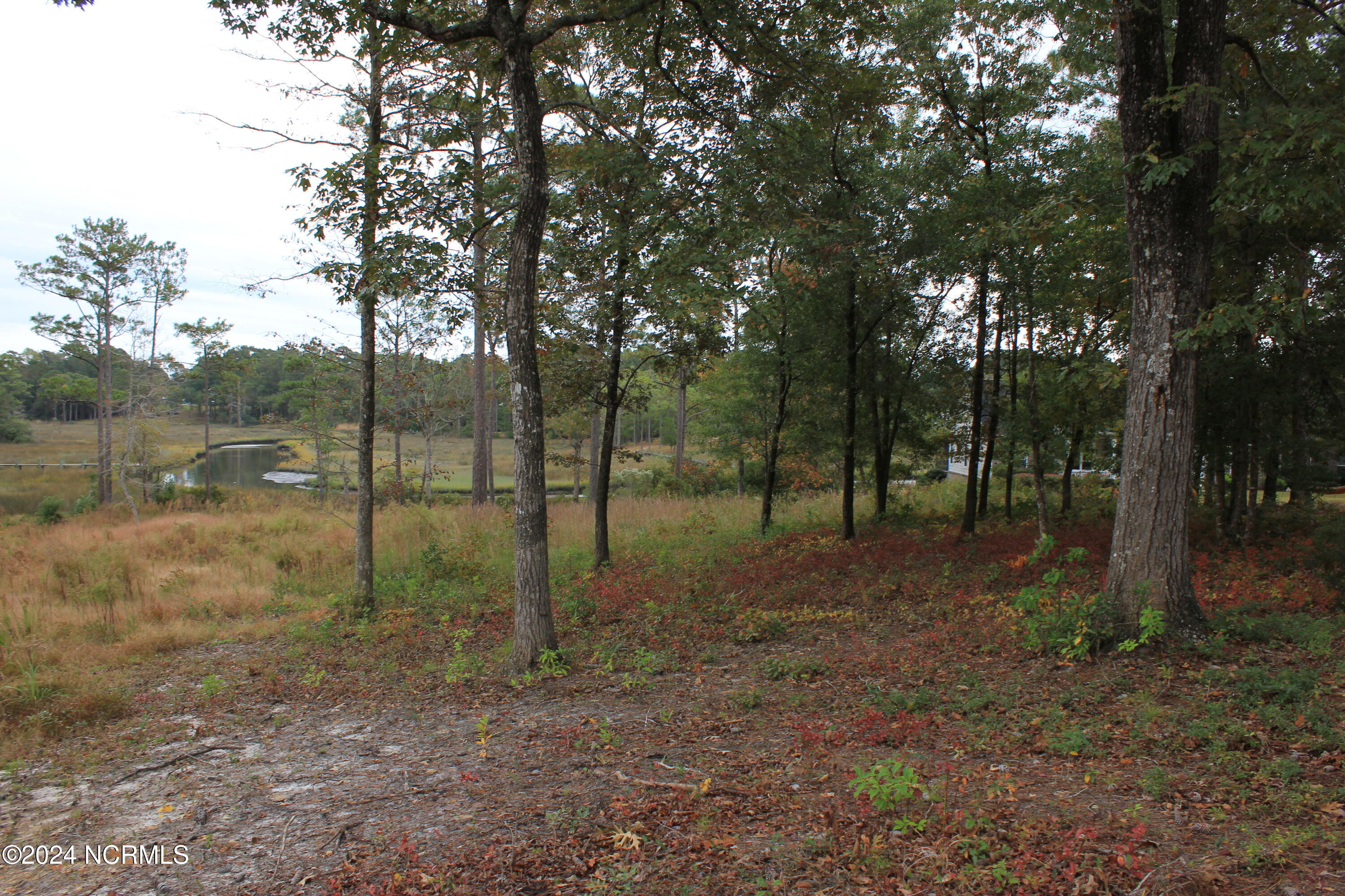 407 Salt Creek Road Swansboro, NC 28584 - Photo 23 of 26 IMG_7605