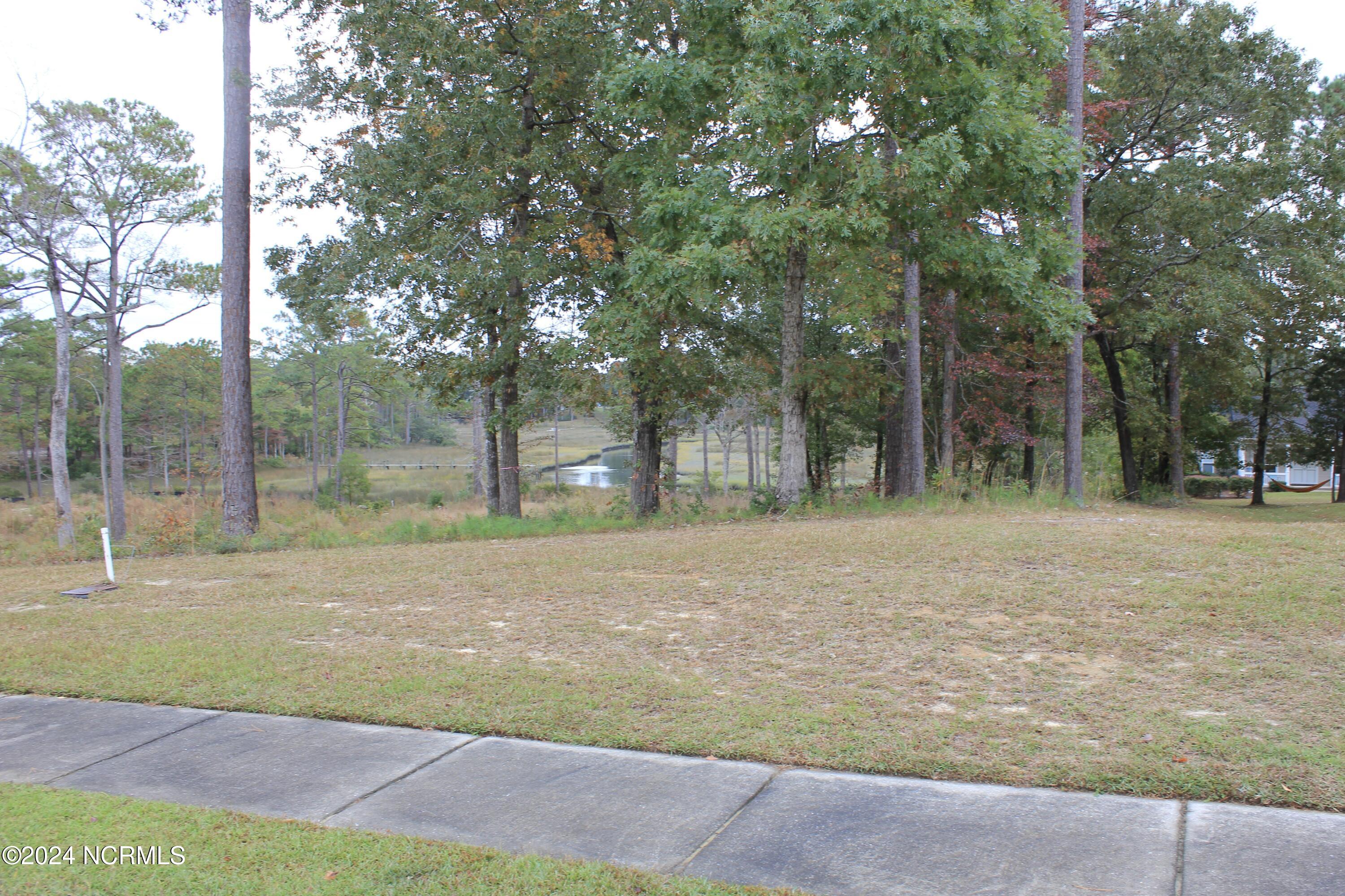 407 Salt Creek Road Swansboro, NC 28584 - Photo 24 of 26 IMG_7612