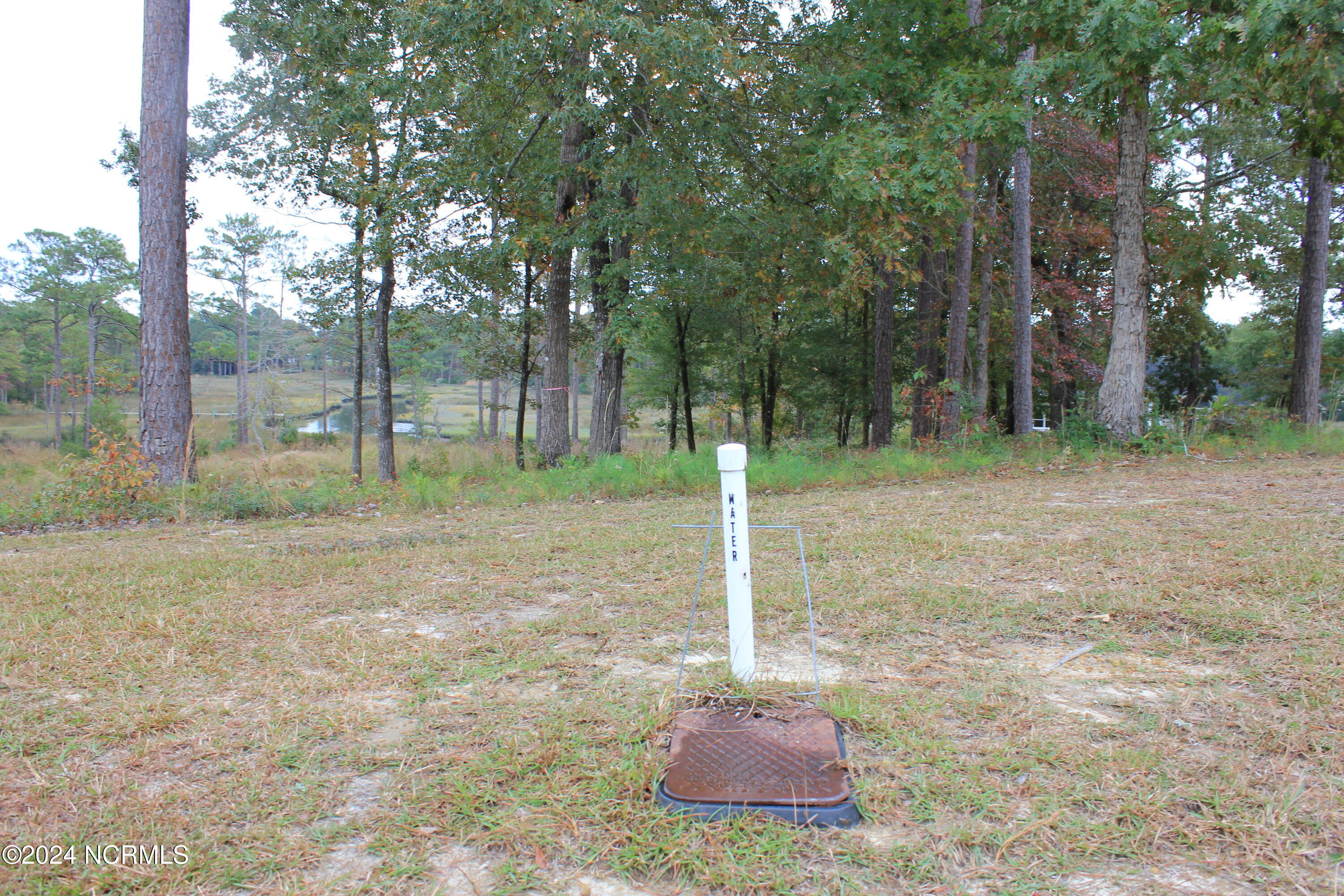 407 Salt Creek Road Swansboro, NC 28584 - Photo 26 of 26 IMG_7608